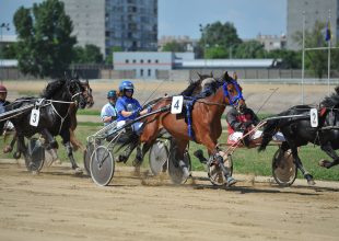 Nem bírod már kivárni a vasárnapi galopp szezonnyitót? Gyere ki már szombaton a Kincsem Parkba, várnak az ügetőlovak!