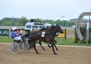 Friss levegőre vágysz, de maradnál a városban? Gyere ki a Kincsem Parkba! Szép környezet, szélsebes lovak, izgalmas versenyek és 300 ezer forint jackpot vár rád!