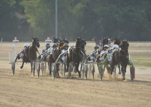 Ha szombat, akkor ügető a Kincsem Parkban! Ne maradj otthon, gyere ki és éld át a lóverseny izgalmát! 300 ezer forint Jackpot nyeremény is vár!