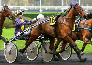 Szerdán a Grand National du Trot futamában nyerhetsz milliókat a TUTI-val! Játssz ma is!