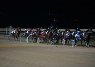 Ha szombat, akkor ügető a Kincsem Parkban! Ne maradj otthon, várnak a nyeremények!