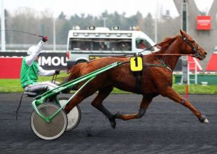 Szerdán jön a Grand National du Trot következő állomása! Játssz és nyerj ma is a TUTI-val!