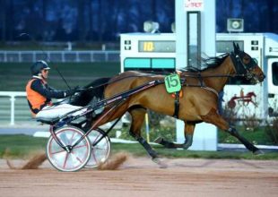 Szerdán jön a Grand National du Trot következő állomása! Játssz és nyerj ma is a TUTI-val!