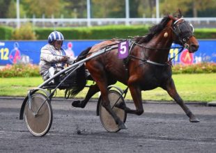 Szerdán jön a Grand National du Trot következő állomása! Ne maradj le róla, játssz és nyerj ma is a TUTI-val!