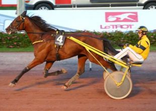 Szerdán jön a Grand National du Trot következő állomása! Ne maradj le róla, játssz és nyerj ma is a TUTI-val!