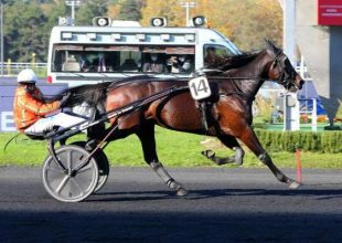 Martin de Bos a keddi Kincsem+ favoritja