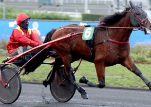 Festival d'Orient a csütörtöki Kincsem+ favoritja