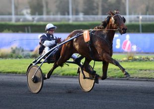 Marseille-ban folytatódik szerdán a Kincsem+