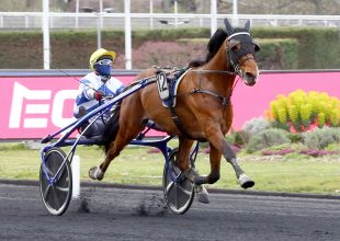 Grand National du Trot állomás a szerdai Kincsem+ keretein belül