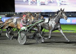 Pénteken Párizsban folytatódik a Kincsem+