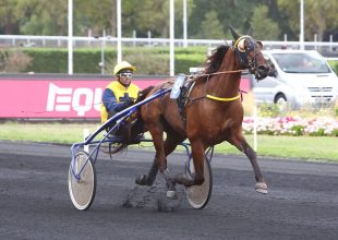 Grand National du Trot állomás a szerdai Kincsem+ futam