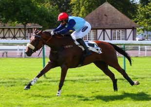 Október 10-én Auteuil-ből jelentkezik a Kincsem+ játék