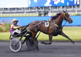 Group III-as találkozó a Földközi-tenger partján – rangos megmérettetést hoz a rutinos klasszisoknak Cagnes-sur-Merben a csütörtöki Kincsem+ futam!