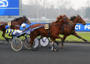 Estero és Eagle Eyes képviselhetik a legjobb esélyt a szerdai Kincsem+ futamban