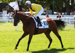 Cagnes-sur-Merben kezdődik a hét, 16 ló a hétfői Kincsem+ futamban