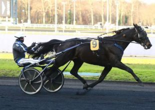 Vihar előtti szellő! – A Prix d’Amérique lázban égő Vincennes a legendák versenye előtt még egy hosszú távú Kincsem+ futammal hangol a hétvégére