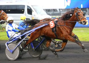 Folytatódik a párizsi kaland – A Vincennes-ben sziporkázó európai ügetők újra egymás ellen!