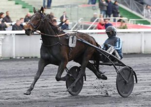 Mini mezőny, óriási presztízs – Vincennes-ben találkoznak újra a kancák!