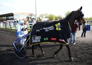 Élmenők ütközetével féltávnál a Grand National du Trot! - Start 18:30-kor!