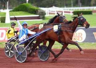 Kiemelt verseny a szerdai Kincsem+ futamban