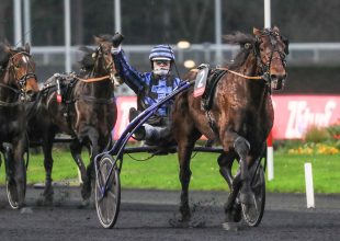 Hohneck vs Idao de Tillard - avagy extraklasszis ügetők a szerdai Kincsem+ futamban