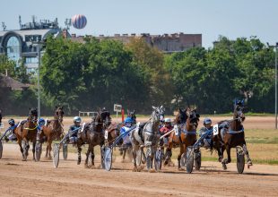 Bródy János Emlékverseny és Tavaszi Hendikep az ügetőn - 3 x 100.000 Ft jackpot!