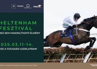 Cheltenham Fesztivál - semmihez sem hasonlítható élmény!