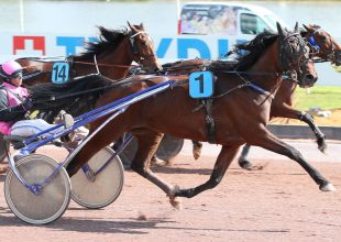 Észak-Franciaország jobbkezes hippodromja várja az ügetőket a hét indításra!