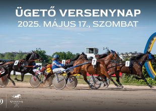 9 futam és 300.000 Ft jackpot a szombati ügetőn