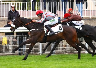 Auteuil híres gátjaival néznek szembe a telivérek 13:55-kor, kedden a Kincsem+ futamban!