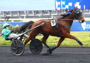 200 millió Ft jackpot a hétfői Kincsem+ futamban!