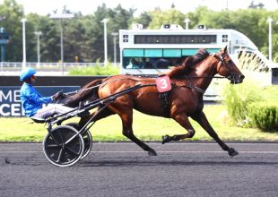 Szombati Kincsem+ futam Caen-ből