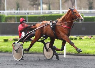 Következik a Grand National du Trot sorozat 2025-ös évadának ötödik állomása!