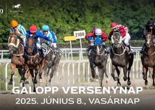 DIÓSPUSZTAI DÍJ ÉS 300.000 FT A GALOPPON - 2025.06.08.