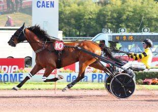 Péntek esti Kincsem+ futam Vincennes nagypályáján