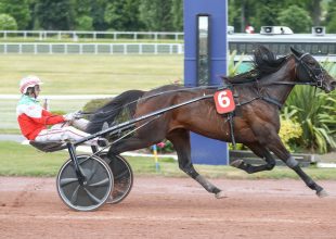 Az ügetők Group 3-as futamával és 400 millió Ft jackpottal folytatódik a Kincsem+ játék vasárnap!