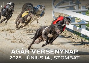 KOMBINÁLT VERSENYNAP SZOMBATON - ÜGETŐ ÉS AGÁR FUTAMOK A PROGRAMON
