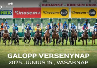 JANEK GÉZA EMLÉKVERSENY HENDIKEP A GALOPPON!