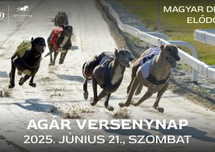 AZ UTOLSÓ MAGYAR DERBY ELŐDÖNTŐK AZ AGÁR VERSENYNAPON!