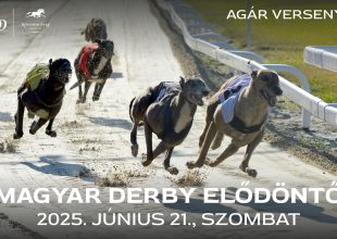 MAGYAR DERBY ELŐDÖNTŐK AZ AGÁR VERSENYNAPON!