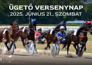 Fortuna Ville és Bitangjó - ügető versenynap a Kincsem Parkban