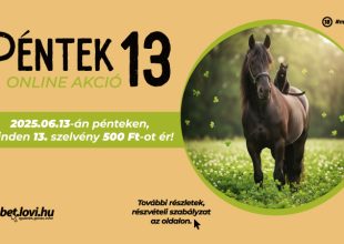 Péntek 13 - 2025-06-13