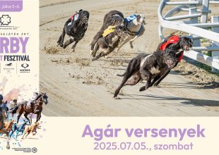 HOGY KIRE FOGADJ AZ AGÁR VERSENYNAP LEGFONTOSABB FUTAMAIBAN?!