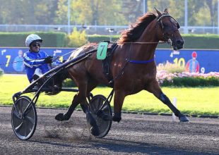 Kifogástalan favoritok a szerdai Kincsem+ futamban