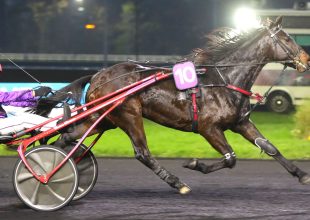 Cabourg-i Kincsem+ futam pénteken