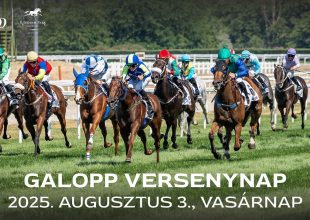 KOZMA FERENC EMLÉKVERSENY, KISBÉR DÍJ ÉS MAGYAR KANCADÍJ A VASÁRNAPI GALOPPON!