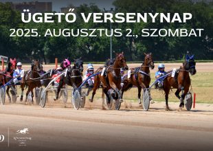 11 futam, köztük kiemelt versenyek a szombati ügetőn, a Kincsem Parkban!