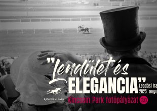 Lendület és Elegancia – Fotópályázat