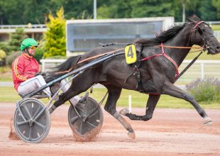 Grand National du Trot a szerdai Kincsem+ terítéken