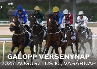 BÉRCZY KÁROLY EMLÉKVERSENY A VASÁRNAPI GALOPPON!